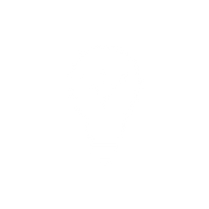 Lightbulb Icon